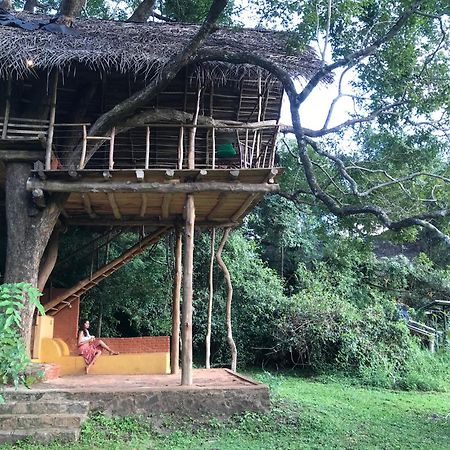 Back Of Beyond - Wild Haven Villa Sigiriya Luaran gambar