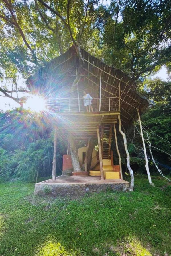 Back Of Beyond - Wild Haven Villa Sigiriya Luaran gambar