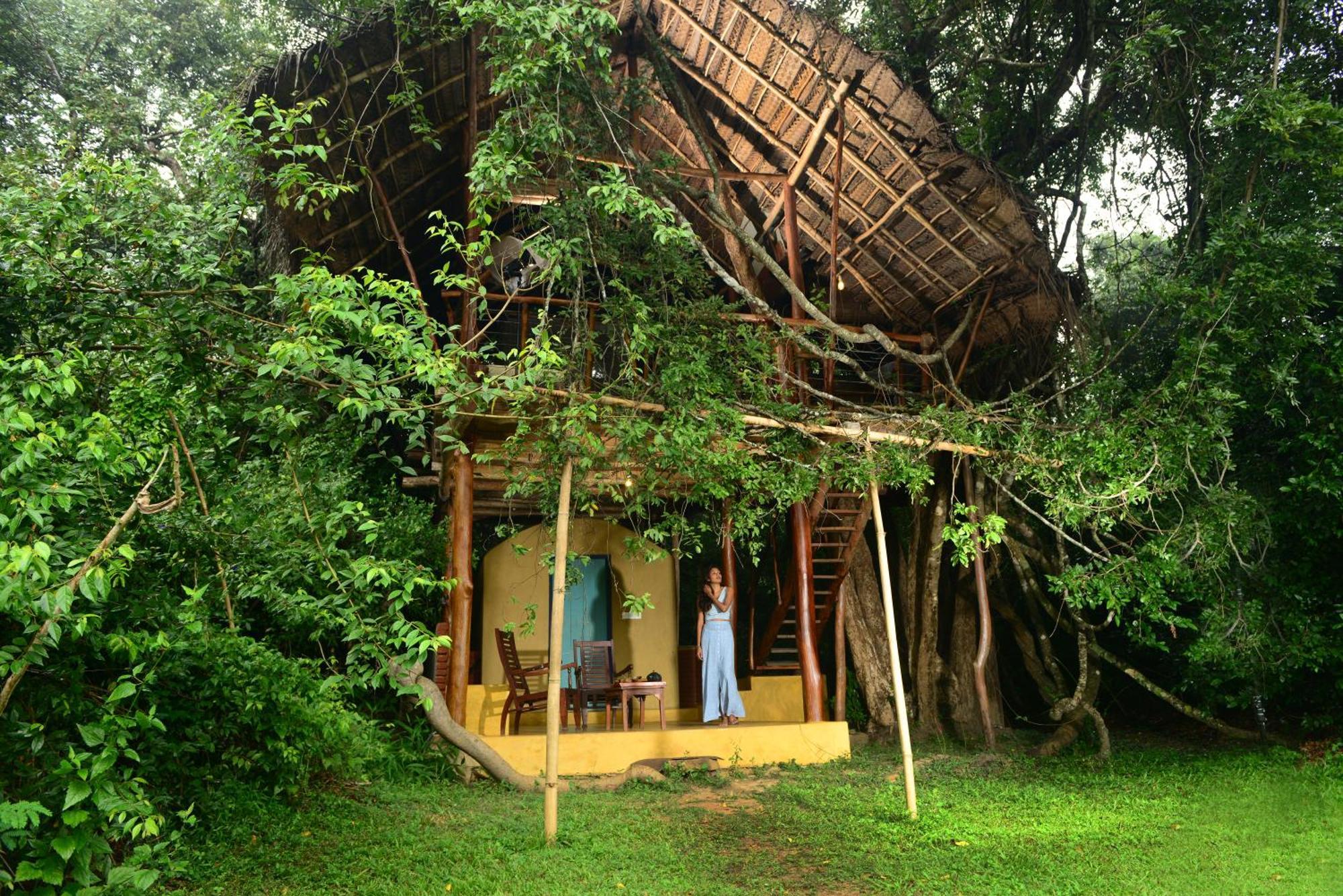 Back Of Beyond - Wild Haven Villa Sigiriya Luaran gambar