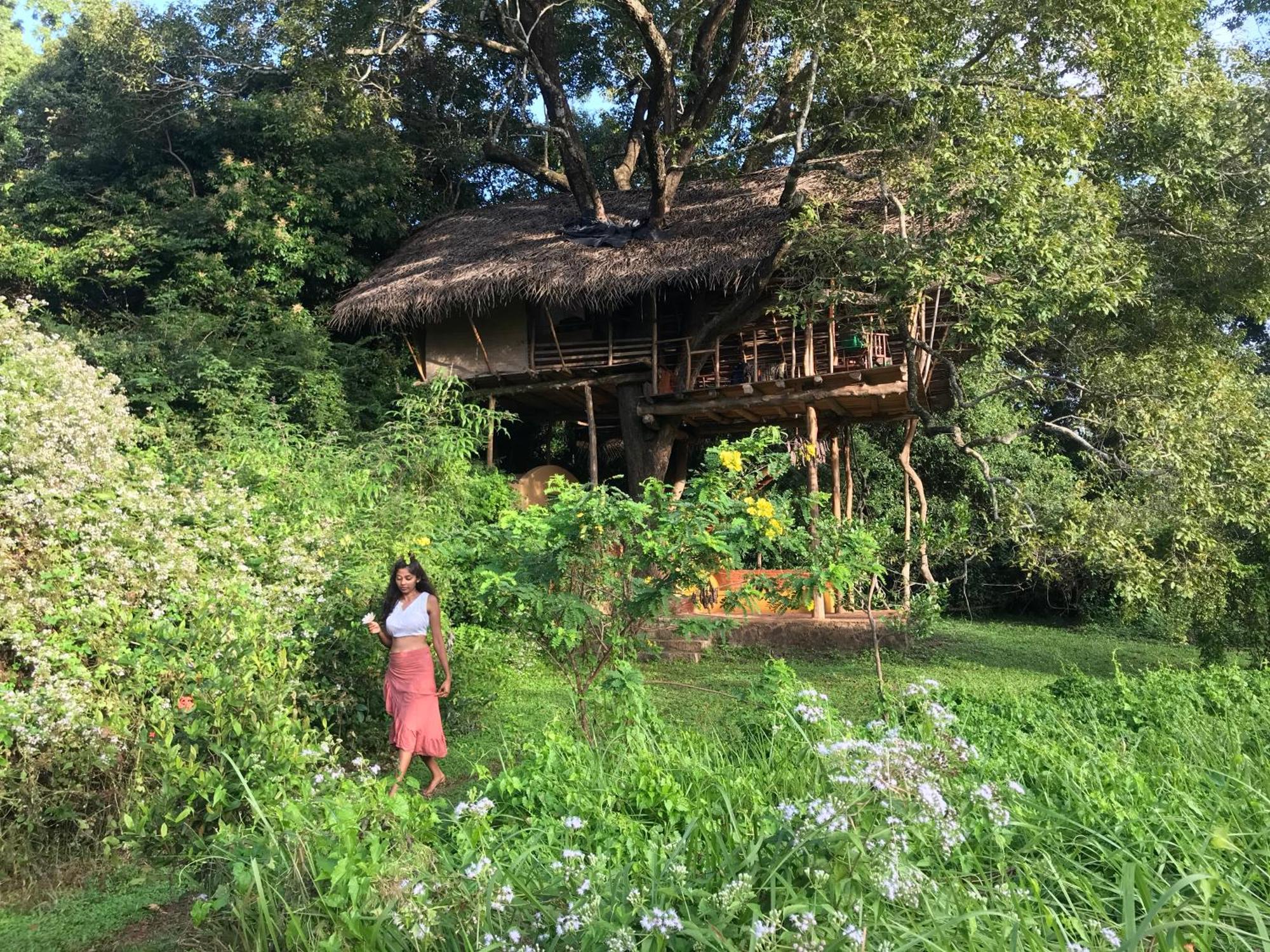 Back Of Beyond - Wild Haven Villa Sigiriya Luaran gambar