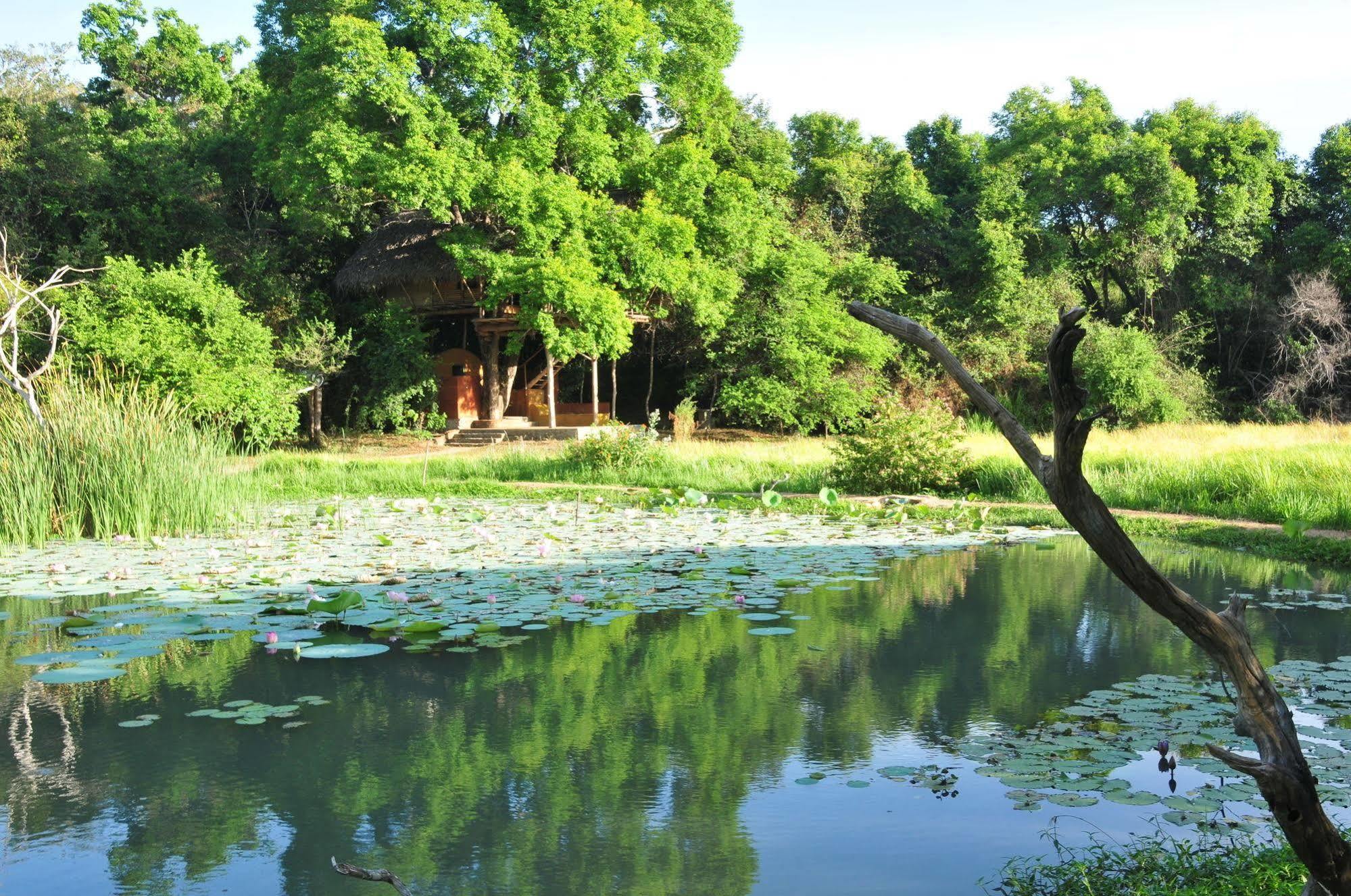 Back Of Beyond - Wild Haven Villa Sigiriya Luaran gambar