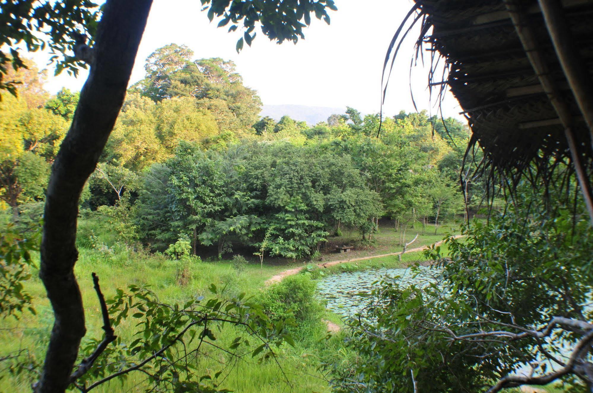 Back Of Beyond - Wild Haven Villa Sigiriya Luaran gambar