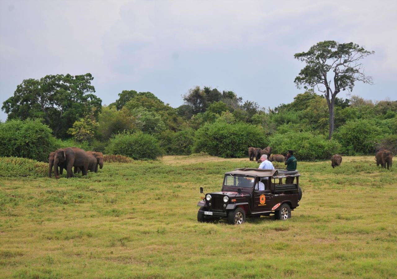 Back Of Beyond - Wild Haven Villa Sigiriya Luaran gambar
