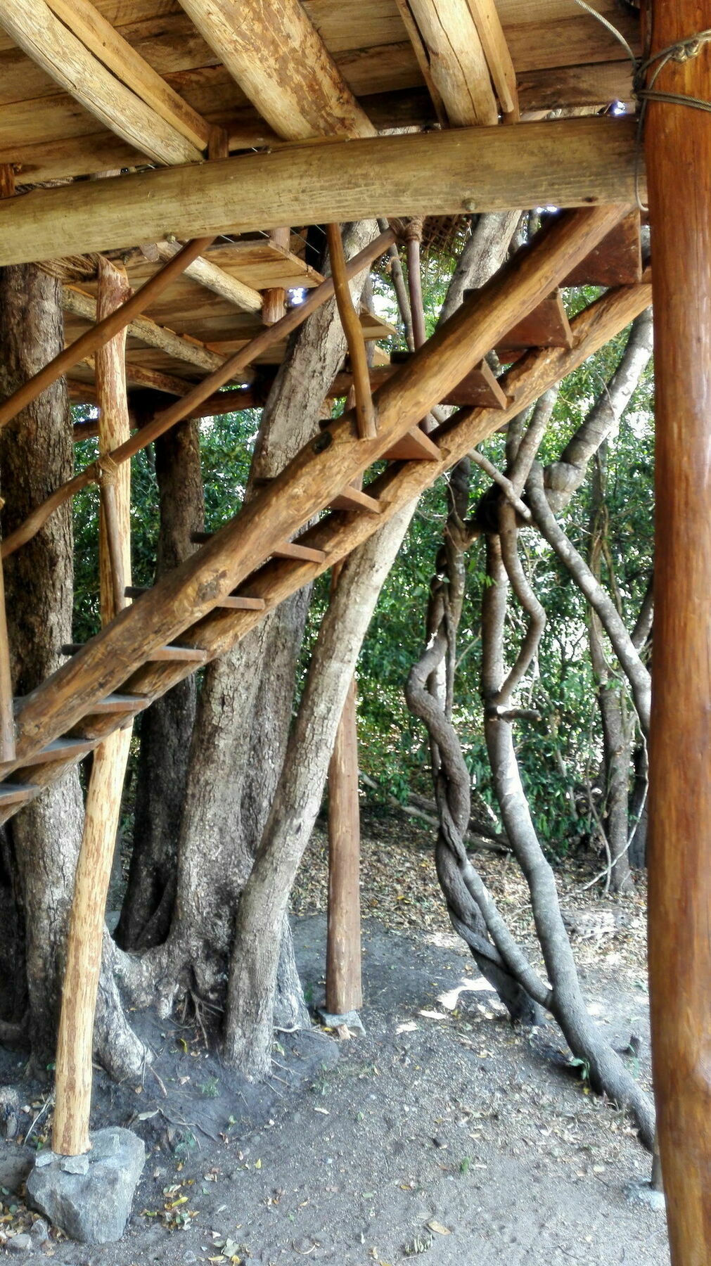 Back Of Beyond - Wild Haven Villa Sigiriya Luaran gambar