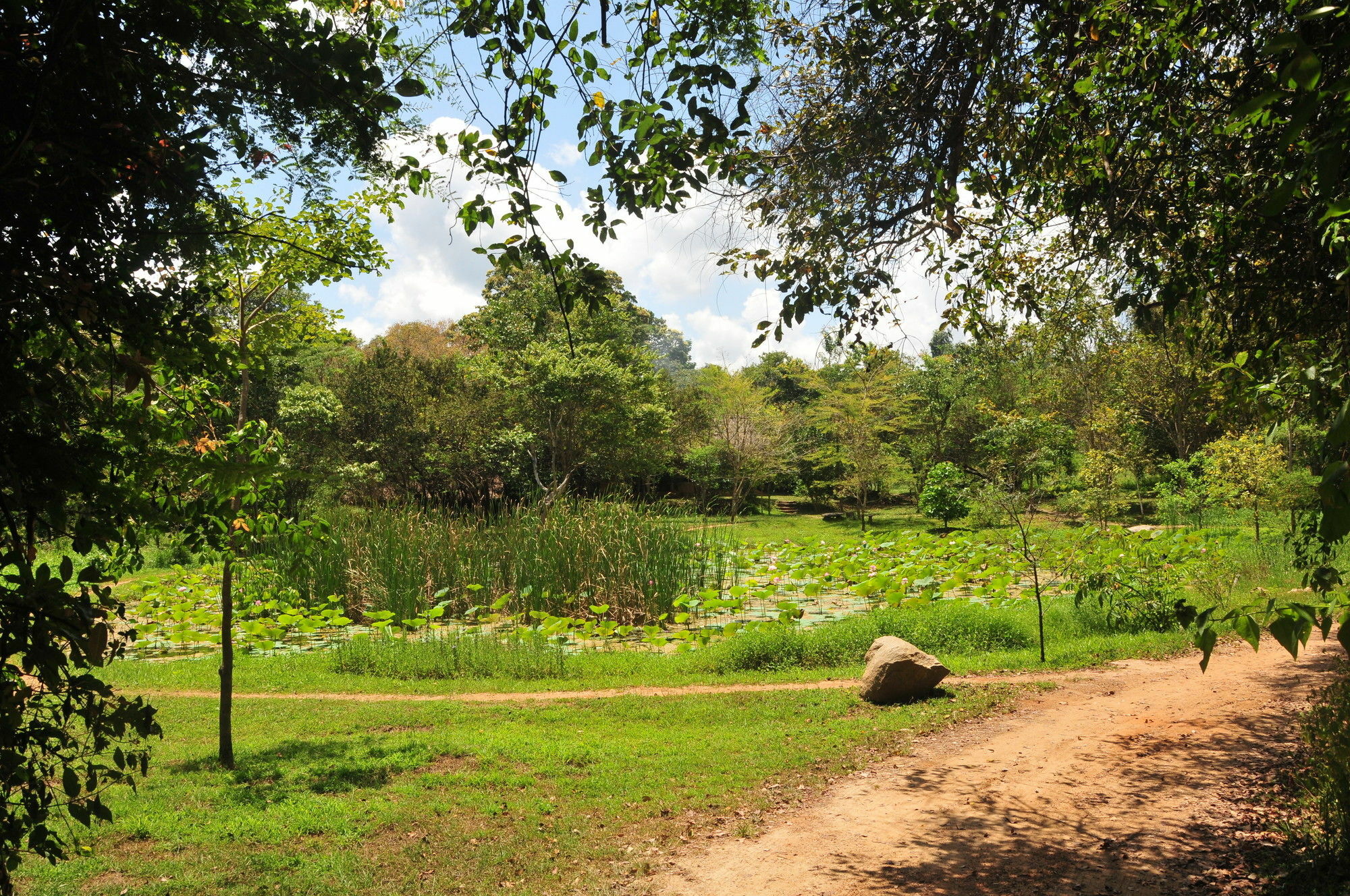 Back Of Beyond - Wild Haven Villa Sigiriya Luaran gambar