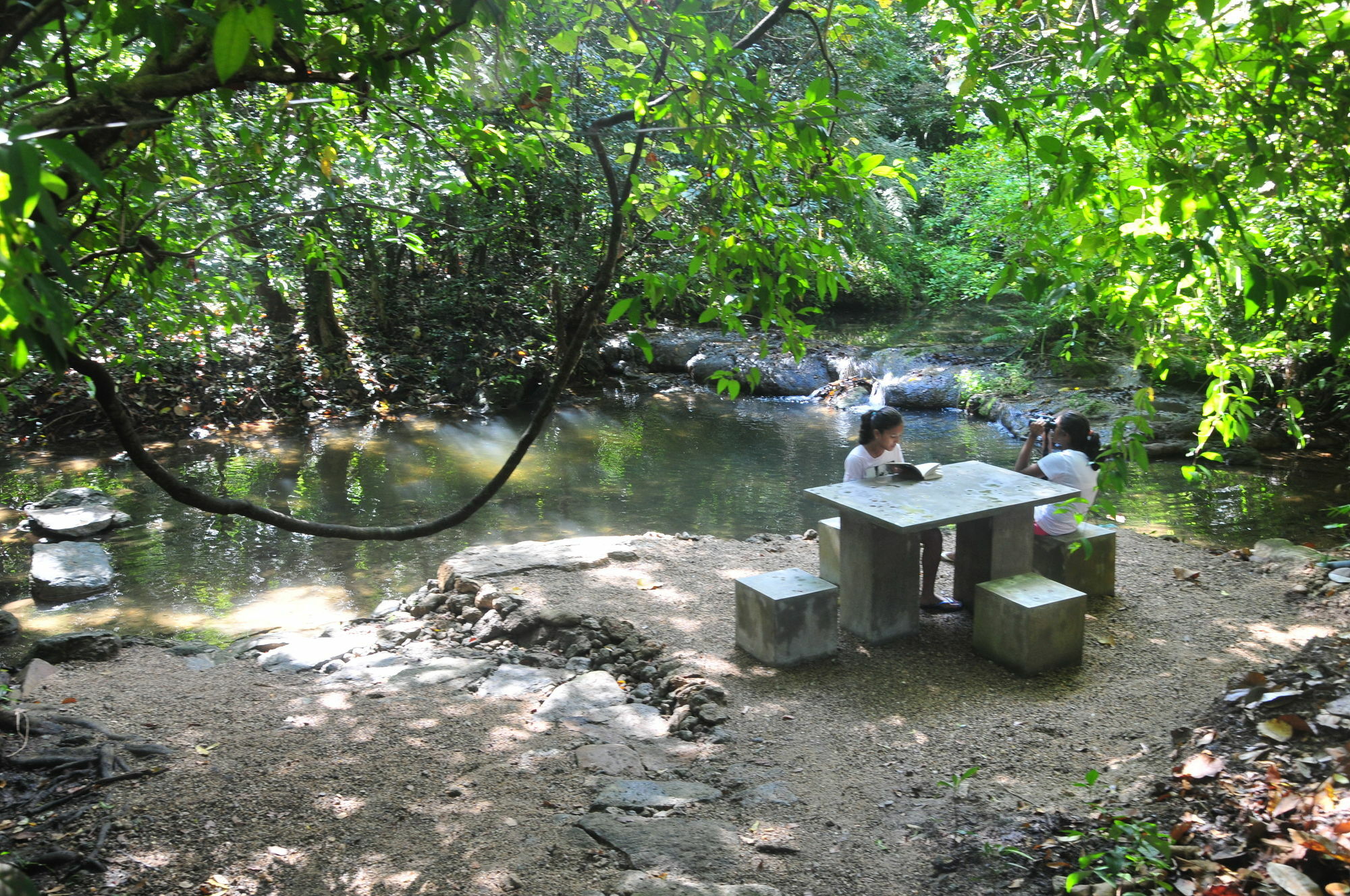 Back Of Beyond - Wild Haven Villa Sigiriya Luaran gambar