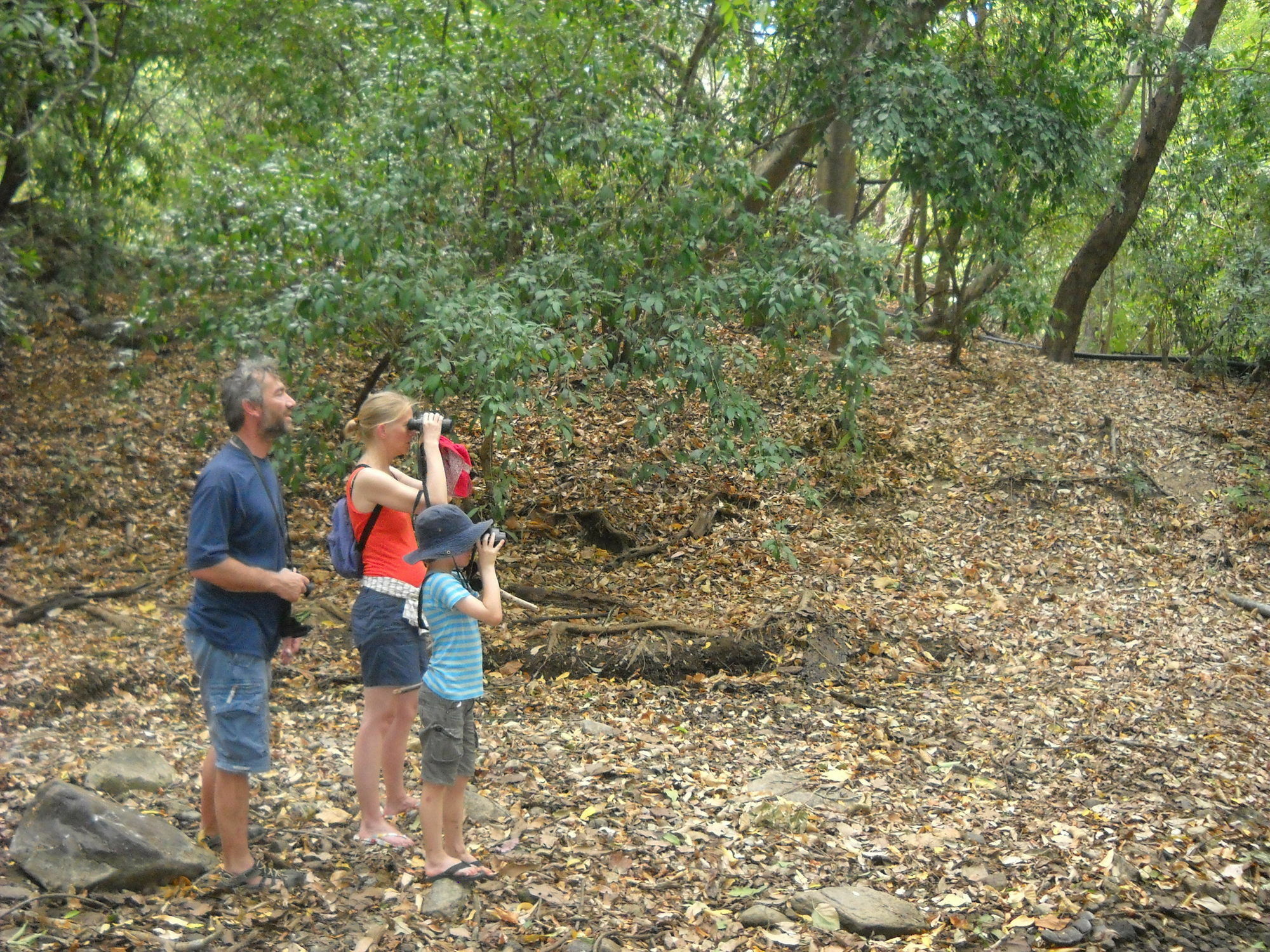 Back Of Beyond - Wild Haven Villa Sigiriya Luaran gambar