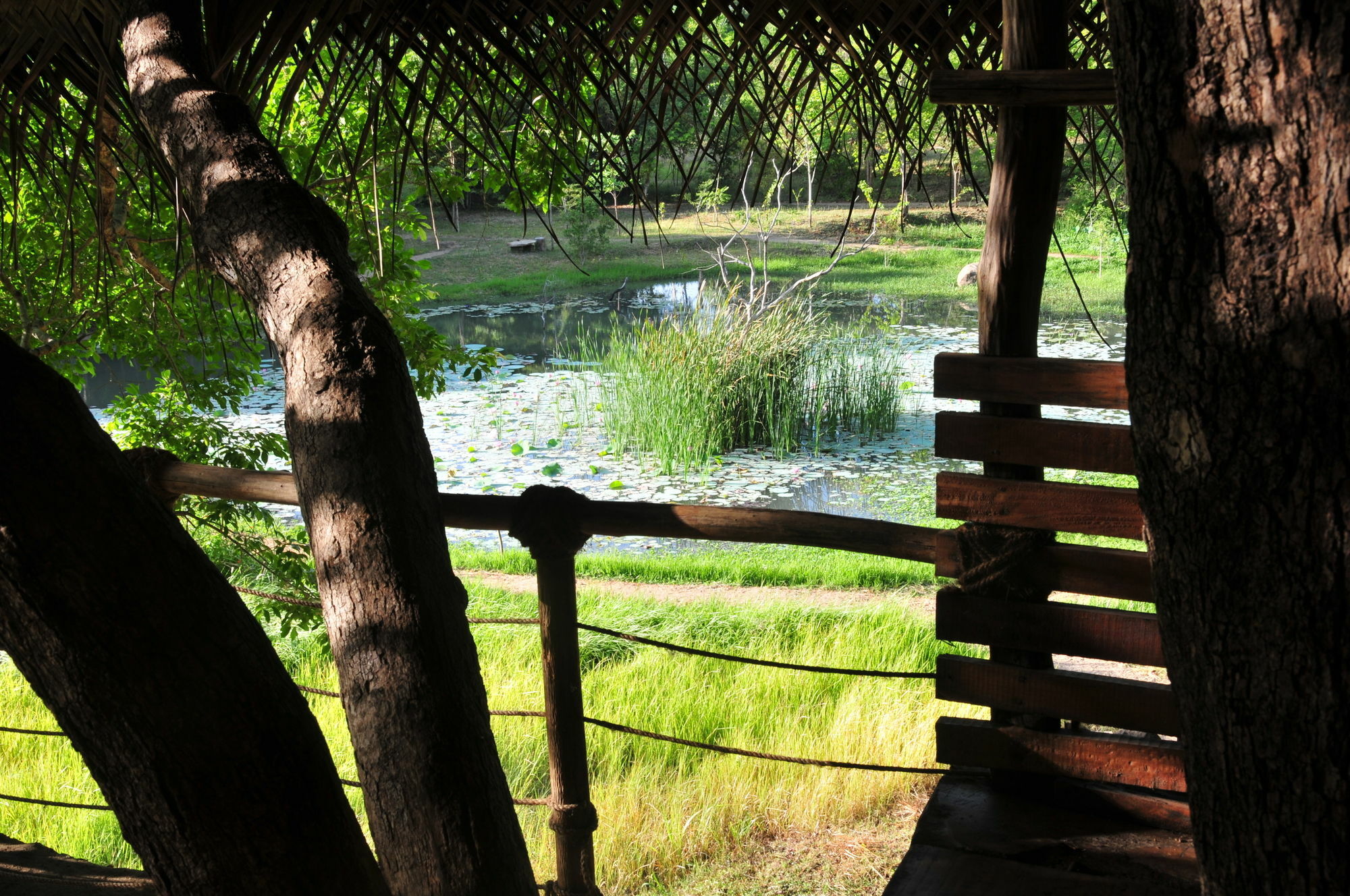 Back Of Beyond - Wild Haven Villa Sigiriya Luaran gambar